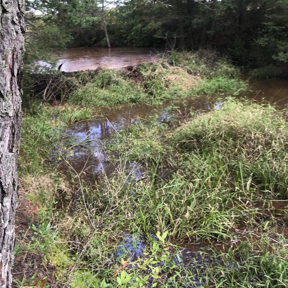 Meet your Posher, Pat